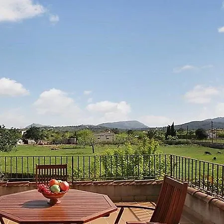 Holiday Crevere